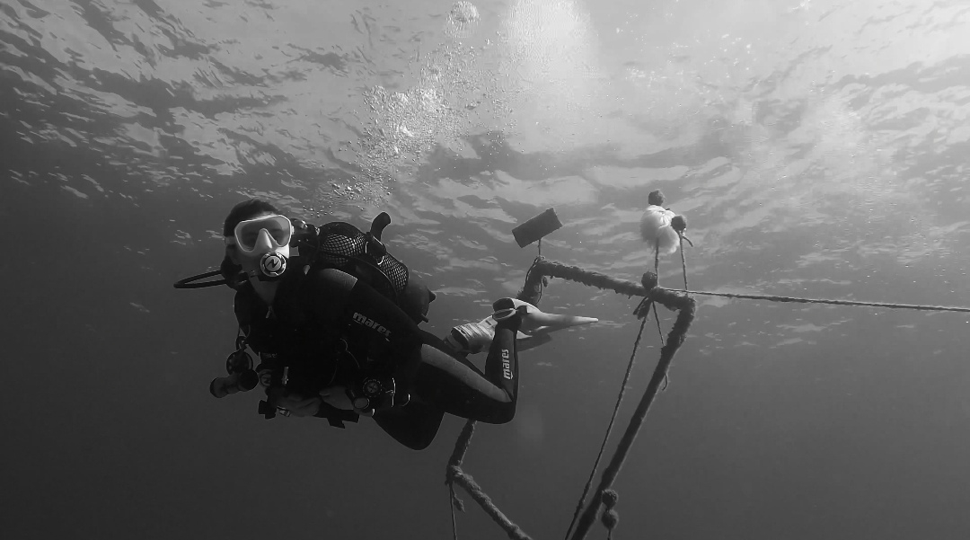 Descending to 35m